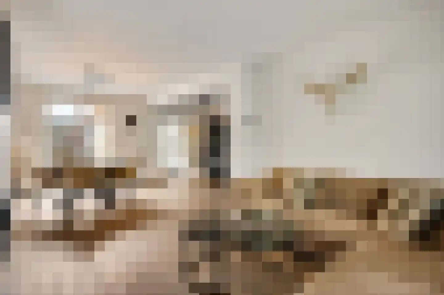Bisschopskamp 12 Swalmen thumbnail 12