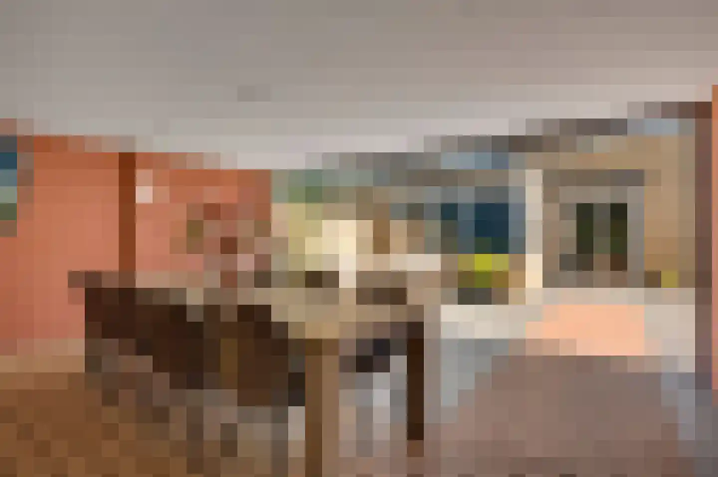 Bisschopskamp 12 Swalmen thumbnail 20