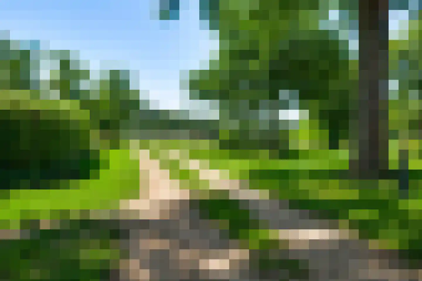 Bisschopskamp 12 Swalmen thumbnail 39