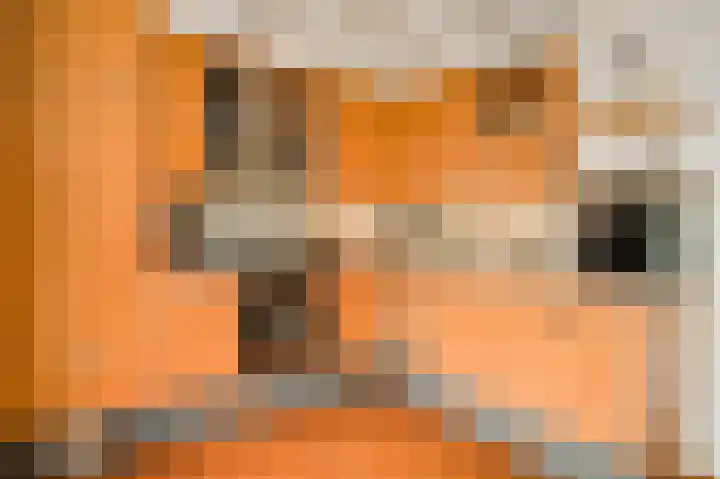Bisschopskamp 18 Swalmen thumbnail 13