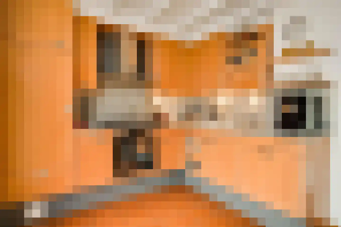Bisschopskamp 18 Swalmen thumbnail 13