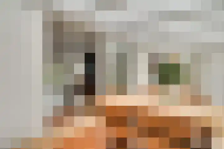 Bisschopskamp 18 Swalmen thumbnail 15