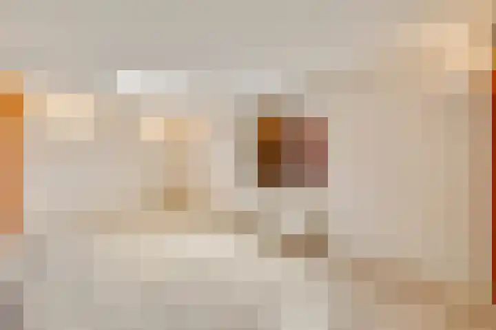 Bisschopskamp 18 Swalmen thumbnail 17