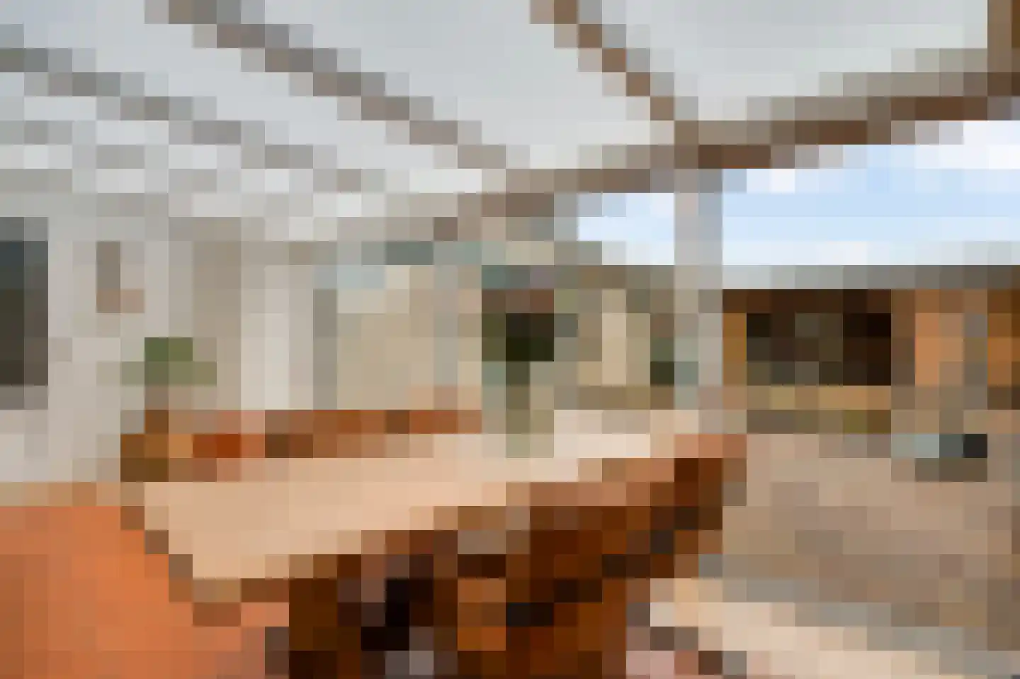 Bisschopskamp 18 Swalmen thumbnail 21
