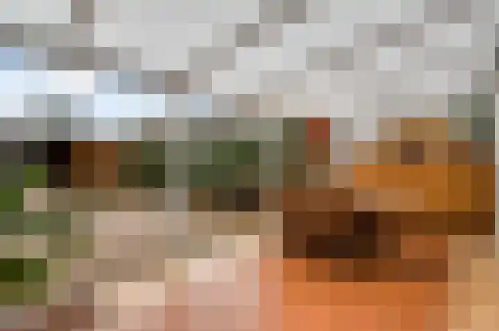 Bisschopskamp 18 Swalmen thumbnail 22