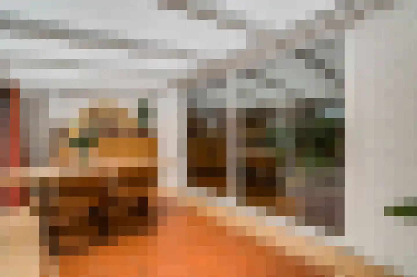 Bisschopskamp 18 Swalmen thumbnail 23