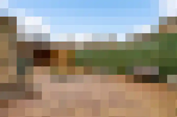 Bisschopskamp 18 Swalmen thumbnail 35