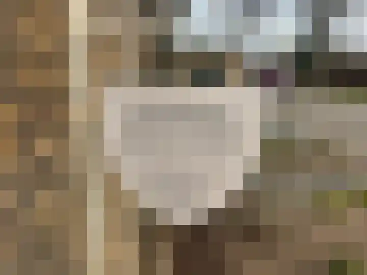 Bisschopskamp 18 Swalmen thumbnail 4