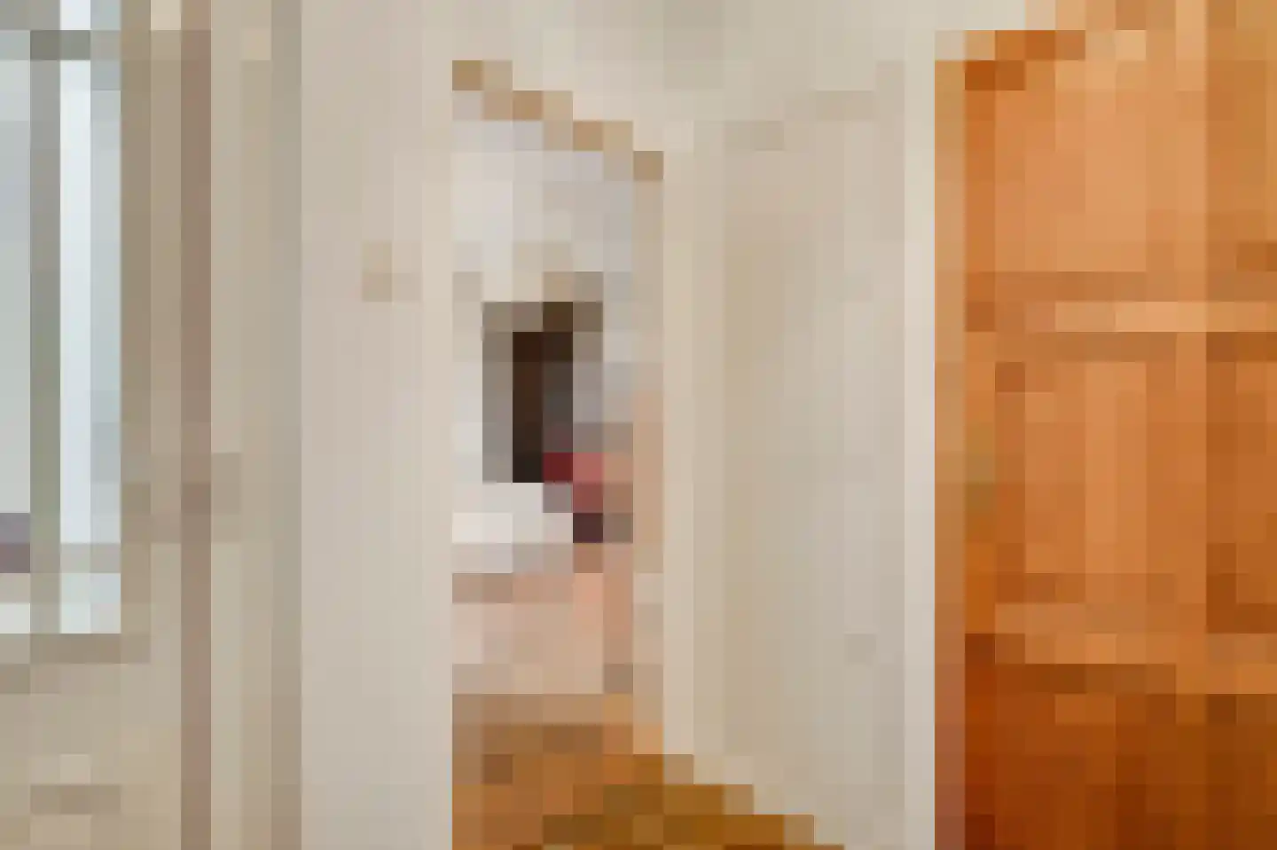 Bisschopskamp 18 Swalmen thumbnail 5