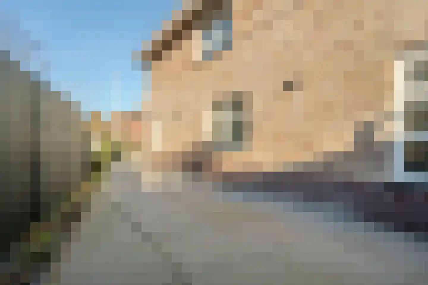 Bisschopskroft 33 Egmond aan den Hoef thumbnail 105
