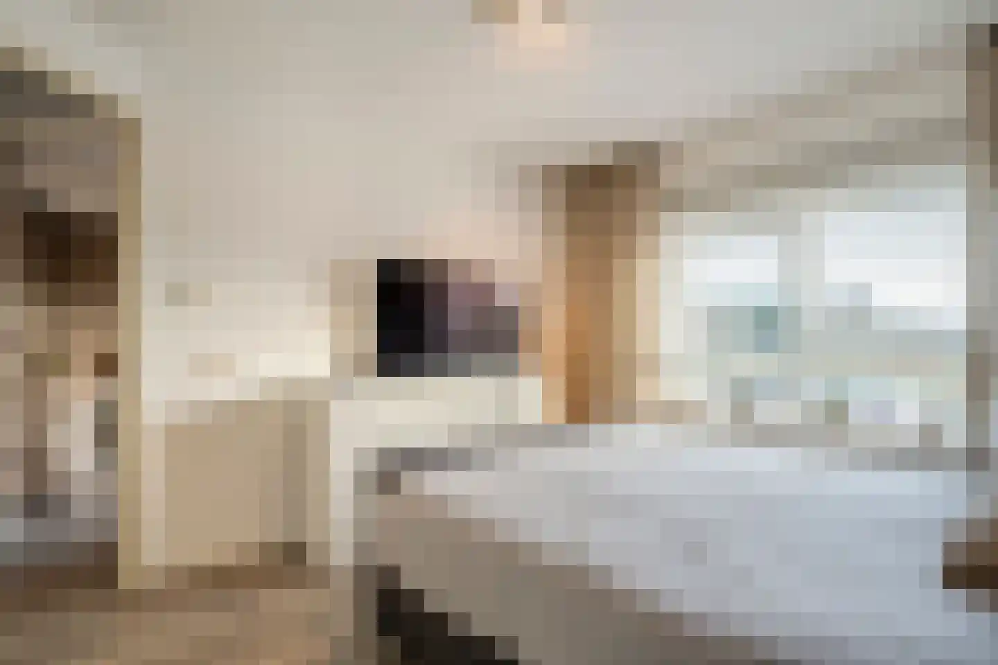 Bisschopskroft 33 Egmond aan den Hoef thumbnail 49