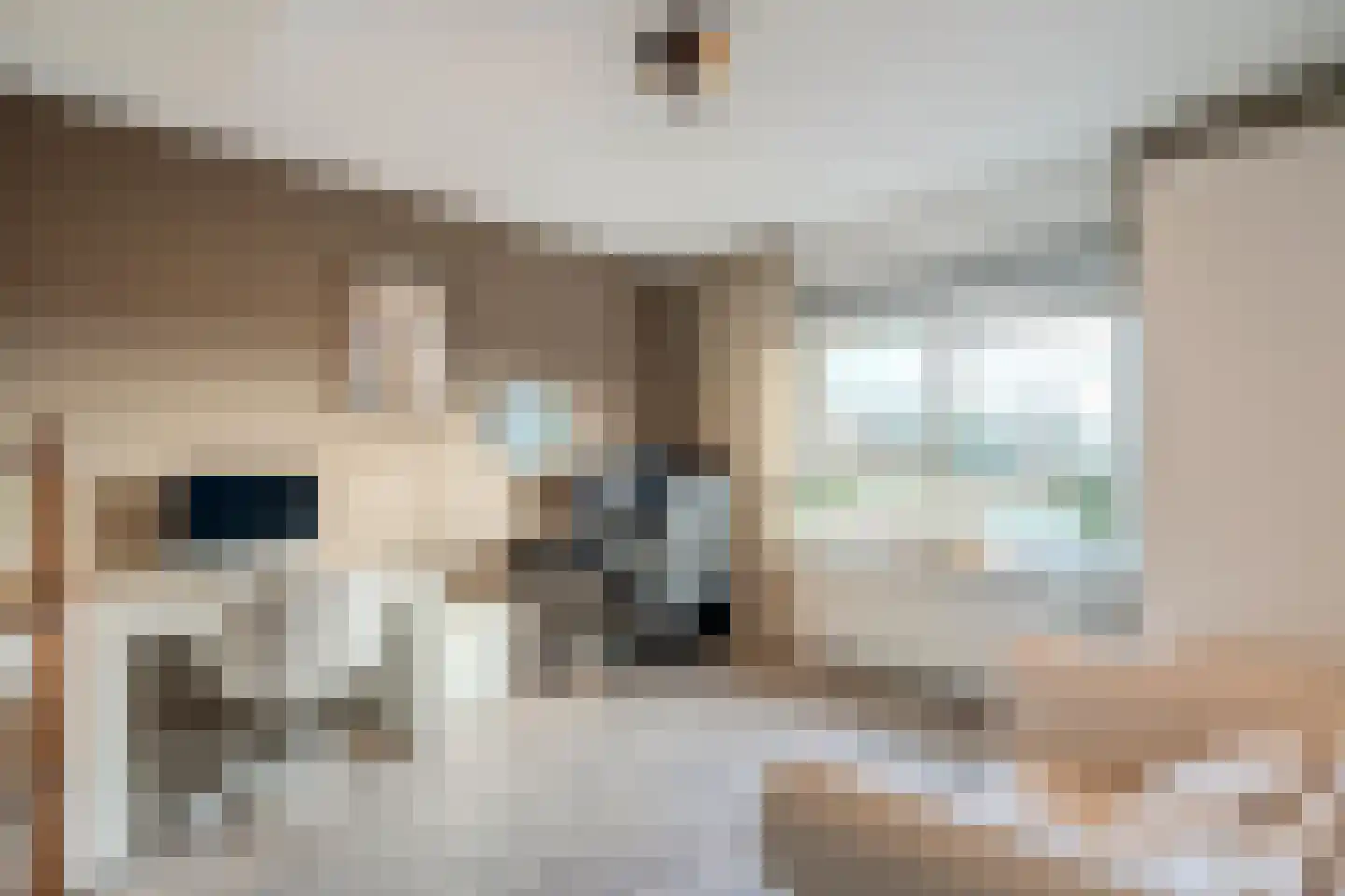 Bisschopskroft 33 Egmond aan den Hoef thumbnail 51