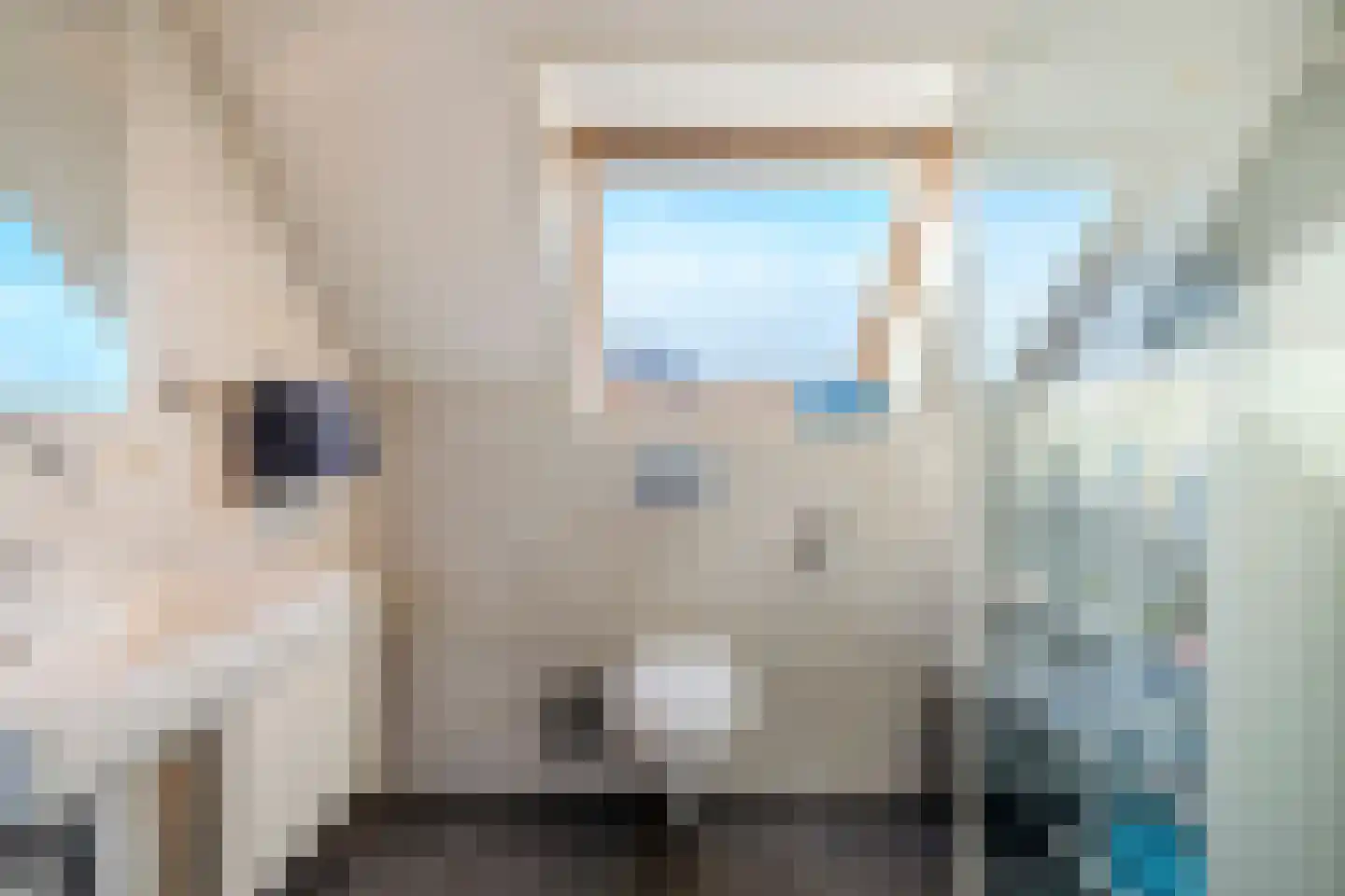 Bisschopskroft 33 Egmond aan den Hoef thumbnail 70