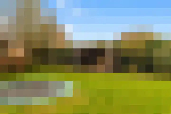 Bisschopskroft 39 Egmond aan den Hoef thumbnail 17