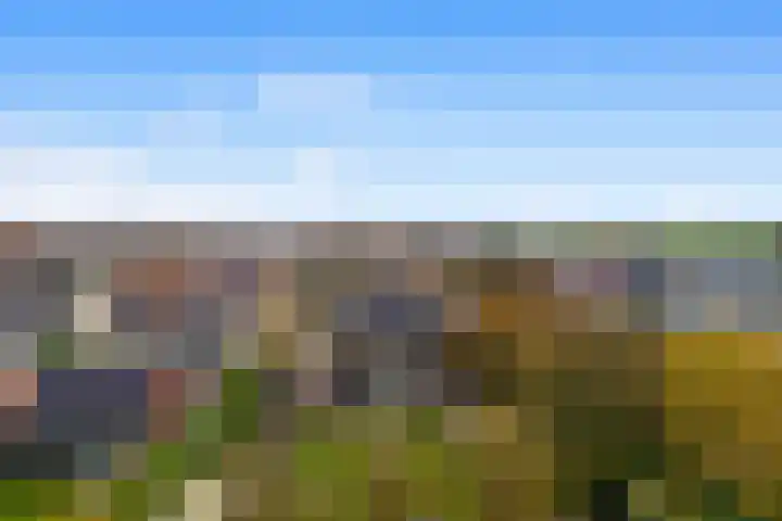 Bisschopskroft 39 Egmond aan den Hoef thumbnail 41