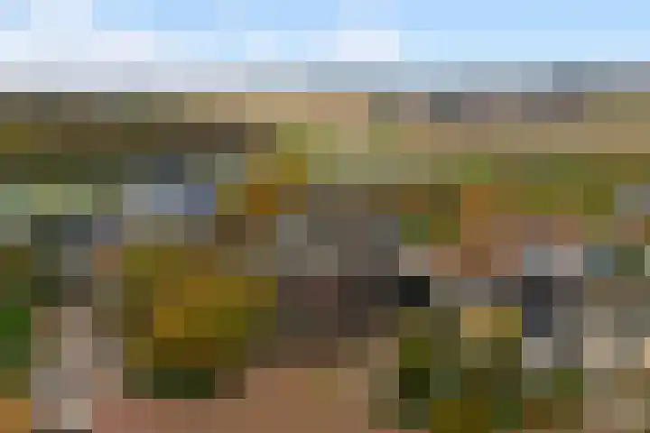 Bisschopskroft 39 Egmond aan den Hoef thumbnail 43