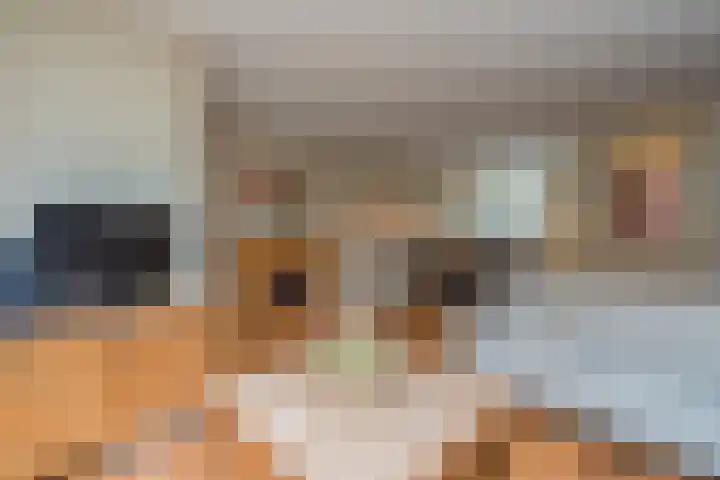 Bisschopskroft 46 Egmond aan den Hoef thumbnail 14