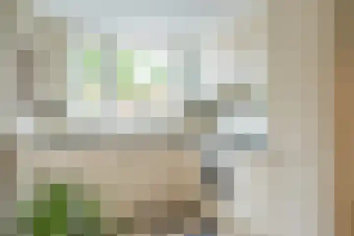 Bisschopskroft 46 Egmond aan den Hoef thumbnail 21