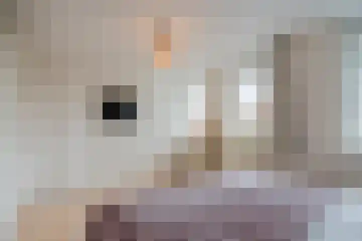 Bisschopskroft 46 Egmond aan den Hoef thumbnail 26
