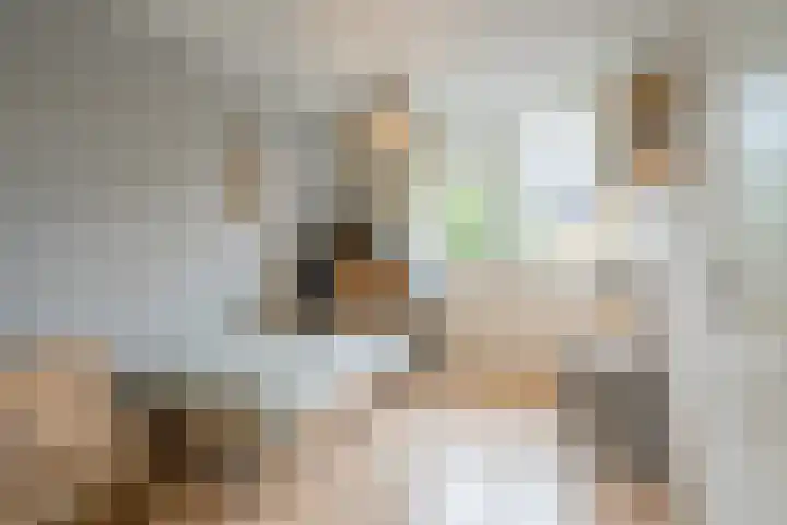 Bisschopskroft 46 Egmond aan den Hoef thumbnail 28