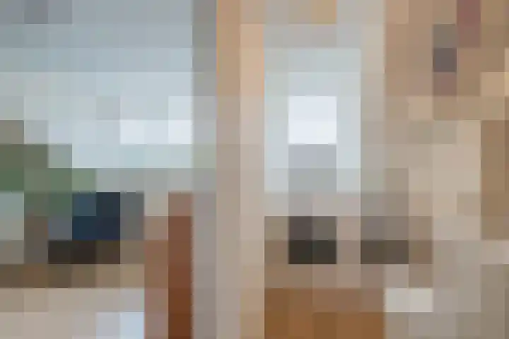 Bisschopskroft 46 Egmond aan den Hoef thumbnail 36