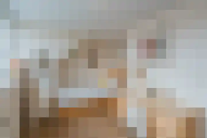 Bisschopskroft 46 Egmond aan den Hoef thumbnail 37