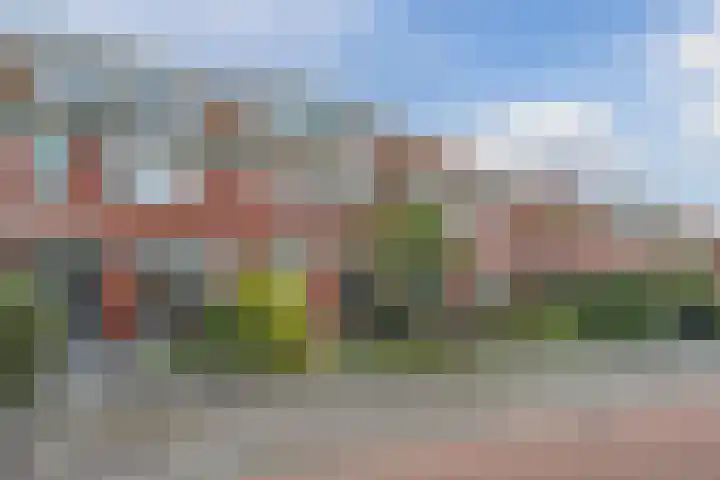 Bisschopskroft 46 Egmond aan den Hoef thumbnail 4