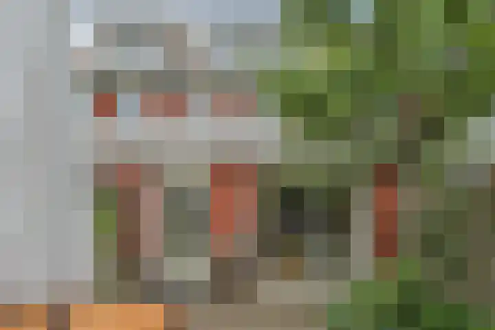 Bisschopskroft 46 Egmond aan den Hoef thumbnail 44