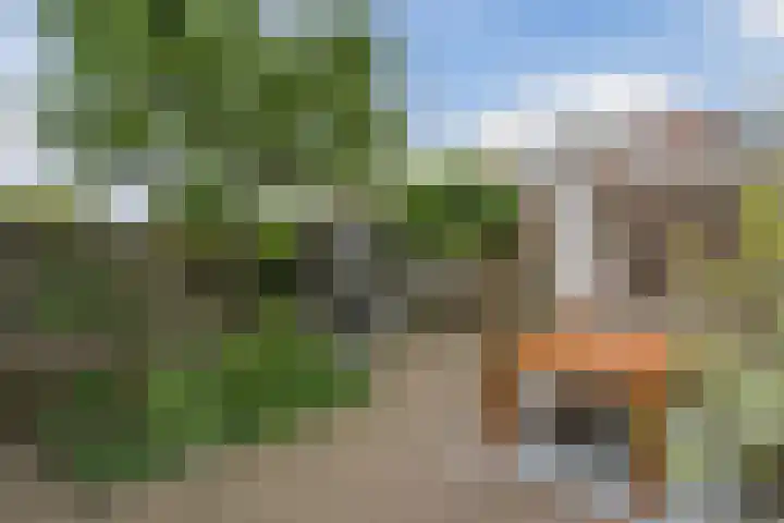 Bisschopskroft 46 Egmond aan den Hoef thumbnail 47