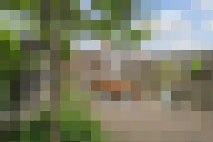 Bisschopskroft 46 Egmond aan den Hoef thumbnail 48