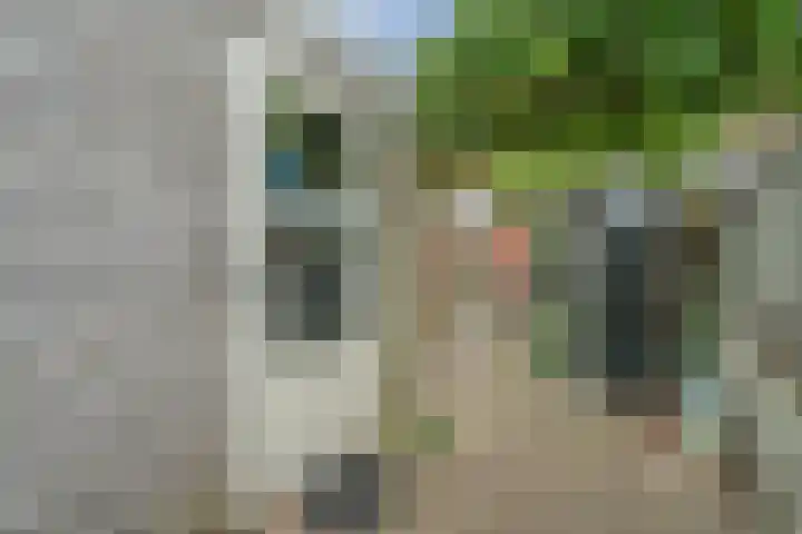 Bisschopskroft 46 Egmond aan den Hoef thumbnail 49