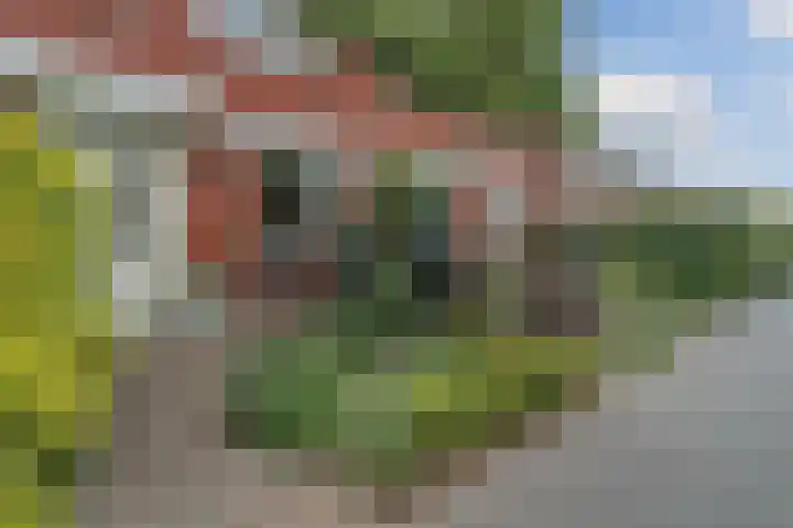 Bisschopskroft 46 Egmond aan den Hoef thumbnail 5