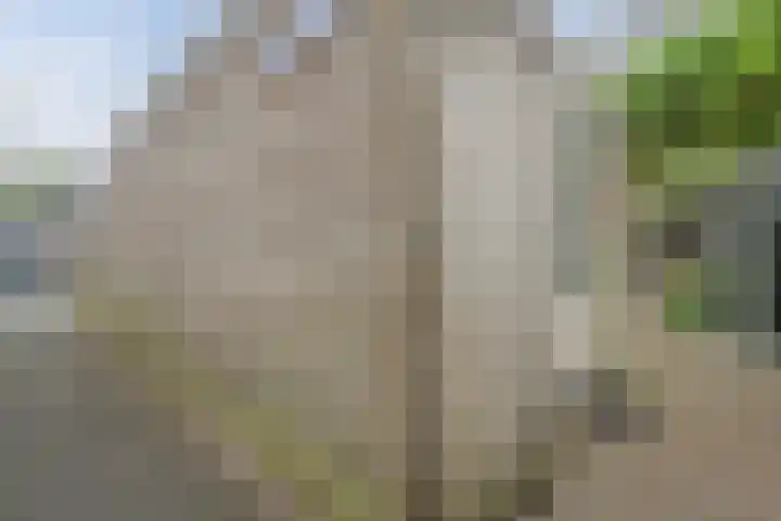 Bisschopskroft 46 Egmond aan den Hoef thumbnail 50
