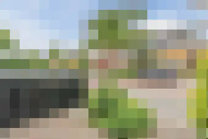 Bisschopskroft 46 Egmond aan den Hoef thumbnail 51