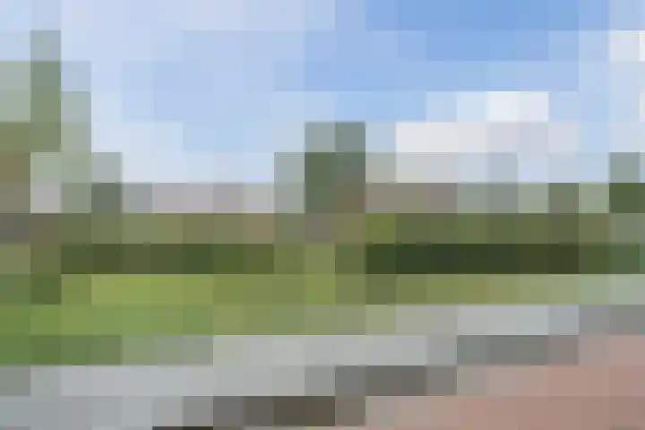 Bisschopskroft 46 Egmond aan den Hoef thumbnail 53