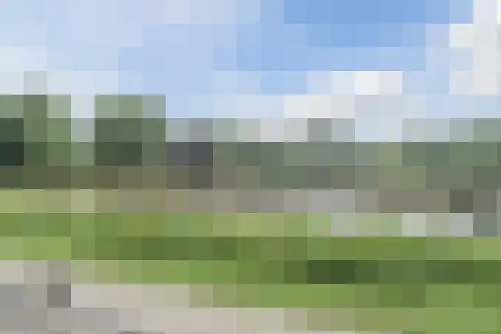 Bisschopskroft 46 Egmond aan den Hoef thumbnail 54