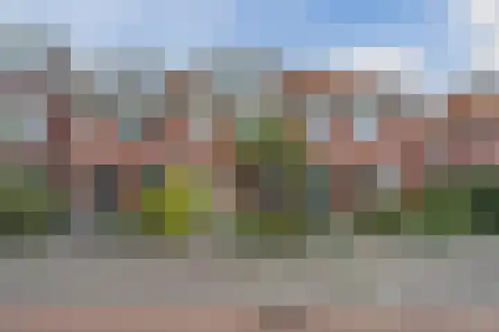 Bisschopskroft 46 Egmond aan den Hoef thumbnail 60
