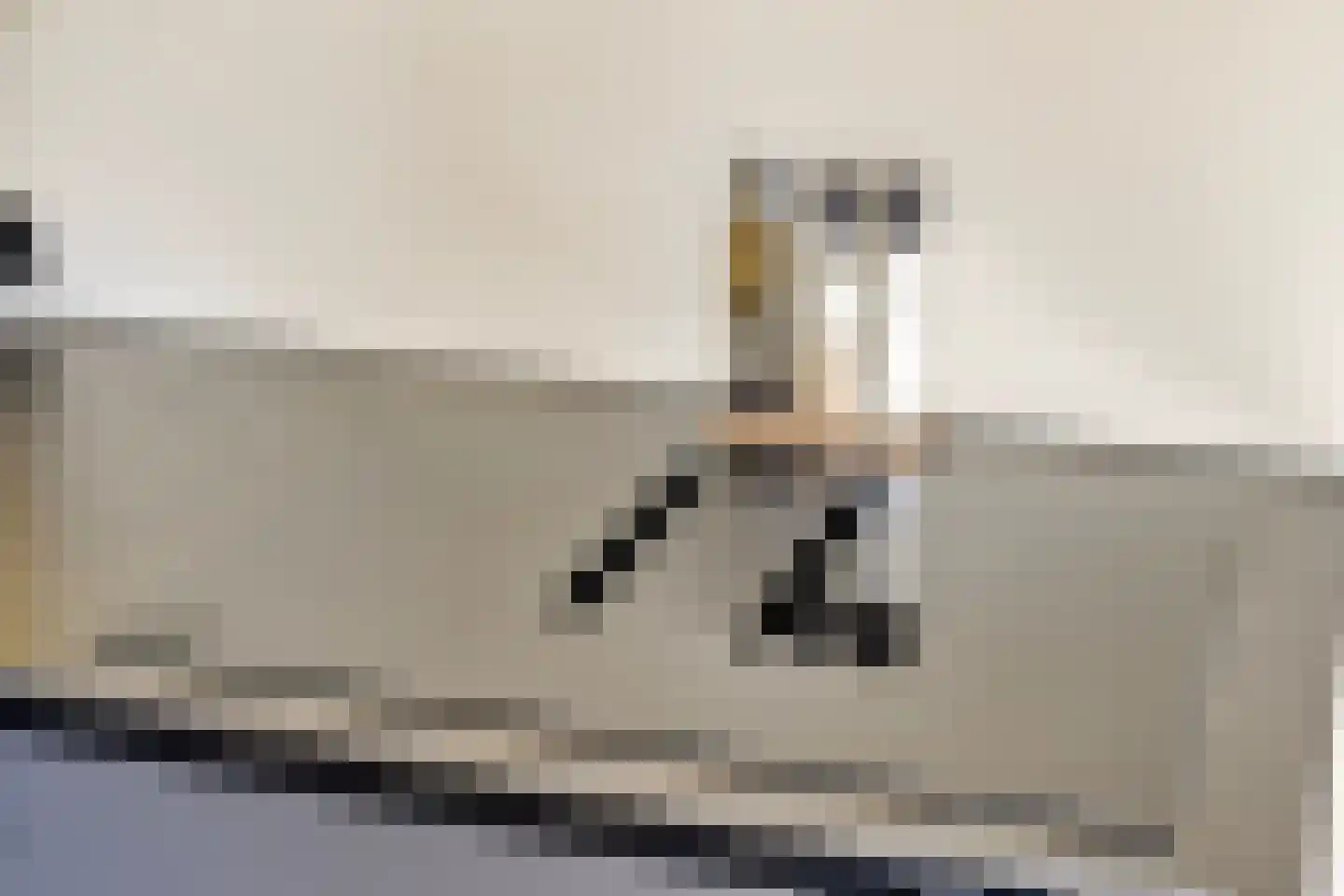 Bisschopsland 10 Bathmen thumbnail 10
