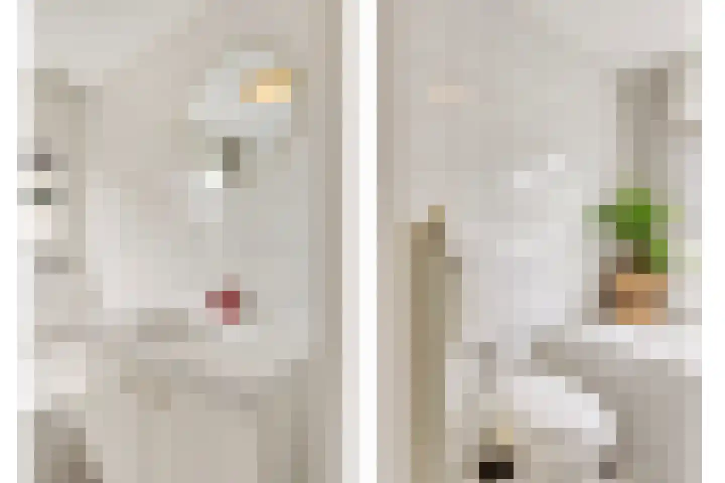Bisschopsland 10 Bathmen thumbnail 25