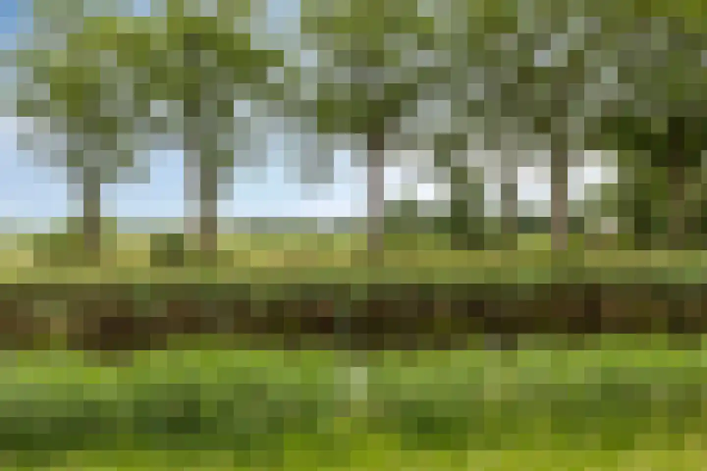 Bisschopsland 10 Bathmen thumbnail 38