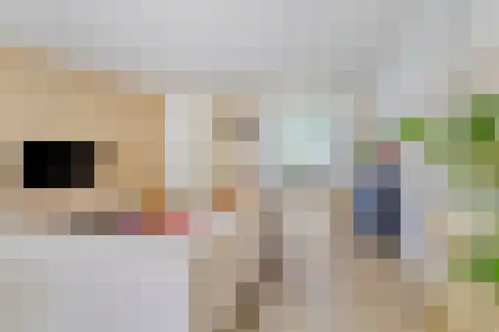 Bisschopsmolenstraat 100 Etten-Leur thumbnail 13