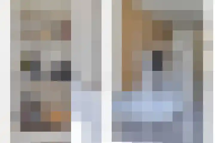 Bisschopsmolenstraat 100 Etten-Leur thumbnail 17