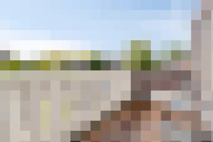 Bisschopsmolenstraat 100 Etten-Leur thumbnail 34