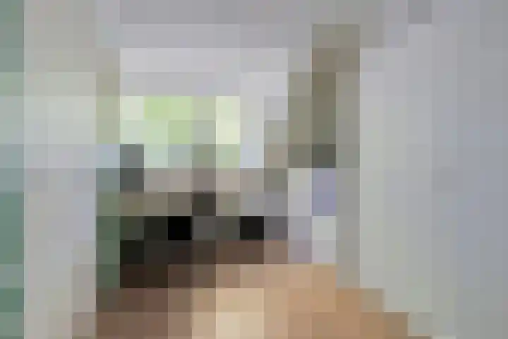 Bisschopsmolenstraat 100 Etten-Leur thumbnail 39