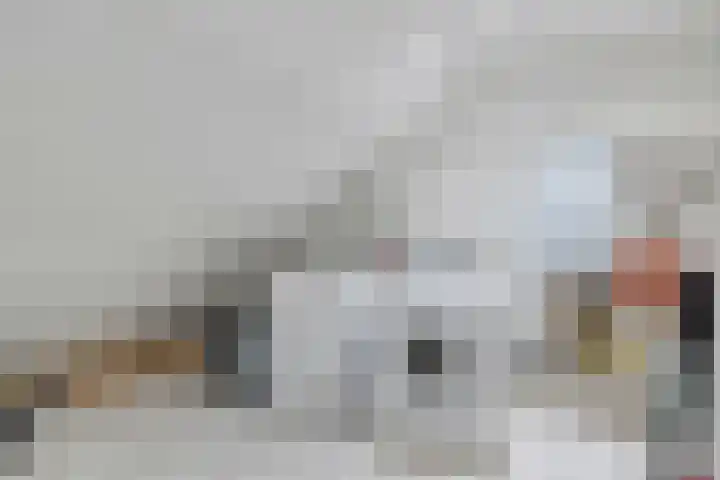 Bisschopsmolenstraat 100 Etten-Leur thumbnail 42