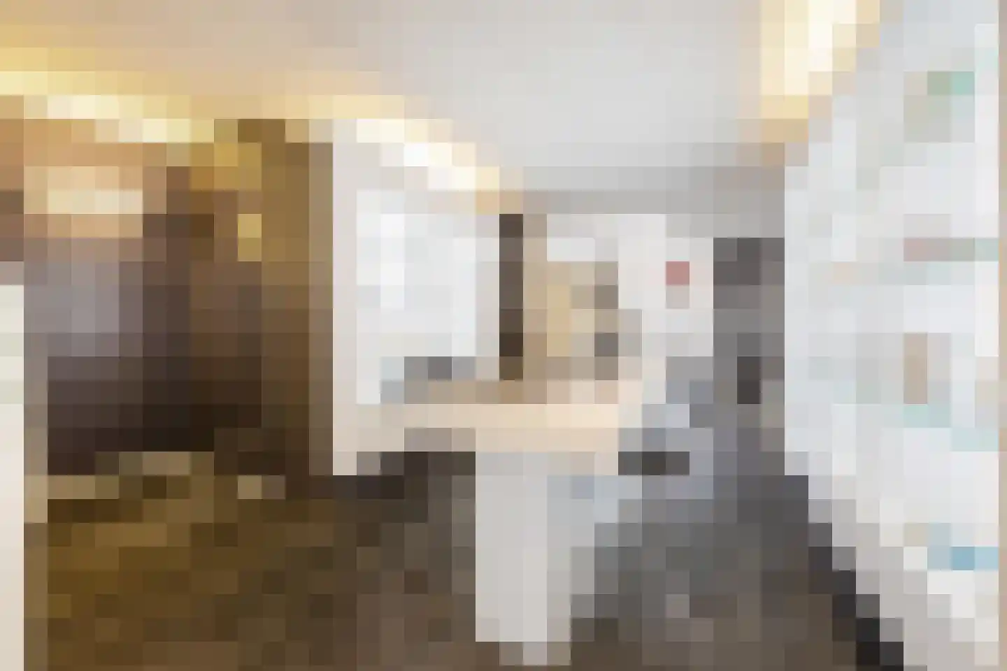 Bisschopsmolenstraat 108 Etten-Leur thumbnail 12