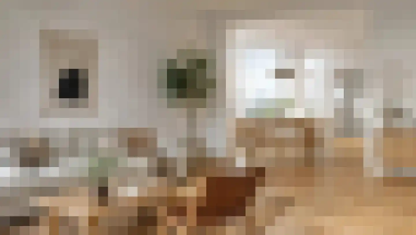Bisschopsmolenstraat 108 Etten-Leur thumbnail 16