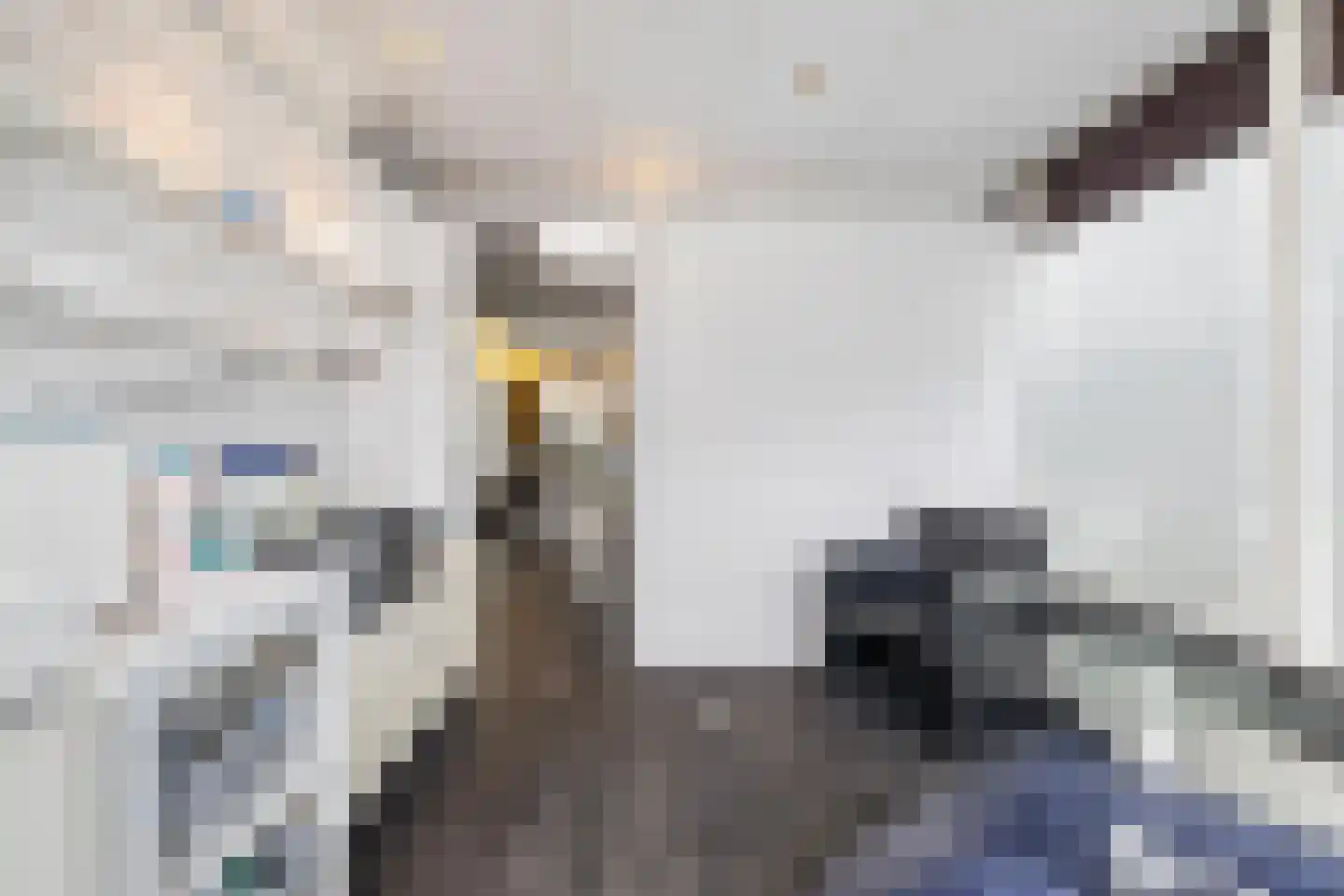 Bisschopsmolenstraat 108 Etten-Leur thumbnail 20