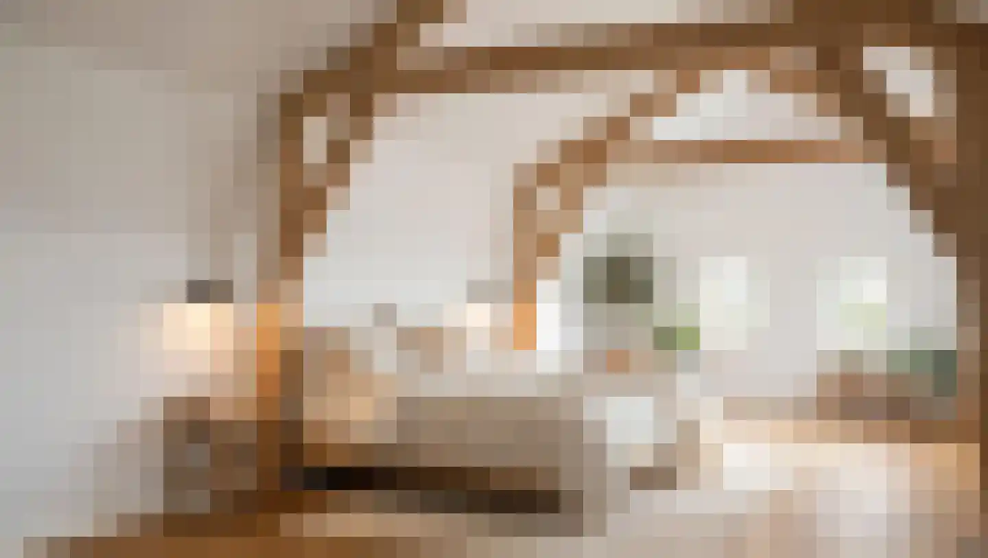 Bisschopsmolenstraat 108 Etten-Leur thumbnail 26