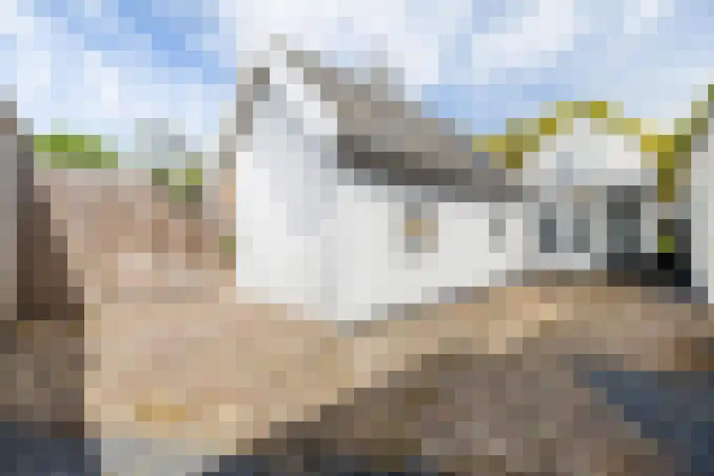 Bisschopsmolenstraat 108 Etten-Leur thumbnail 32